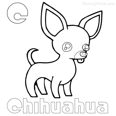 chihuahua puppy coloring pages fieltros patiki