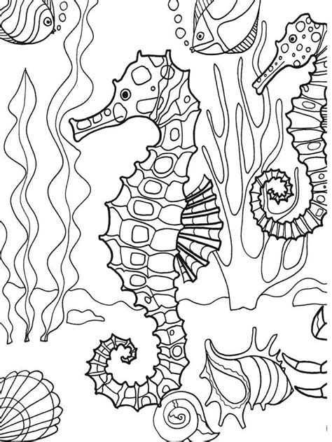 dover publications sample page    sea adventure coloring