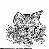 Chaton Katzen Zentangle Getcoloringpages Malen Tribal sketch template