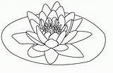 Lotus Coloring Printable Pages Flower Flowers Library Clipart Colour Popular sketch template