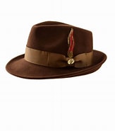 Image result for Pear Fedora. Size: 163 x 185. Source: www.pinterest.ca