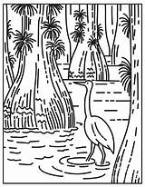 Everglades Egret Wading Marsh Mangrove Sawgrass sketch template