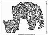 Coloring Bear Pages Adult Adults Printable Getdrawings Print Color Getcolorings sketch template
