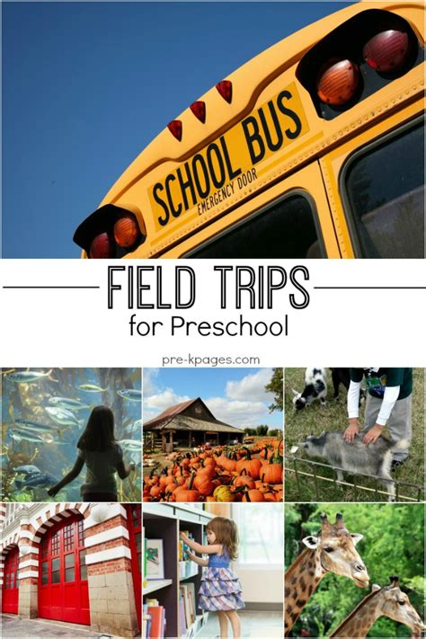 field trip ideas  preschool  kindergarten