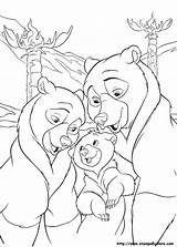 Bear Brother Koda Orso Oso Hermano Frere Dibujos Kenai Kleurplaat Disegni Fratello Ours Bärenbrüder Ausmalbild Tekening Malvorlagen Kiezen sketch template