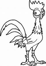 Moana Coloring Pages Clipart Chicken Hei Disney Heihei Colouring Turtle Rooster Template Printable Kids Wecoloringpage Clipartmag Size Clipground Choose Board sketch template