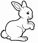 Coloring Pages Rabbit Animal Picgifs sketch template