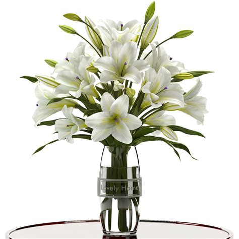 white lilly 3d model cgtrader