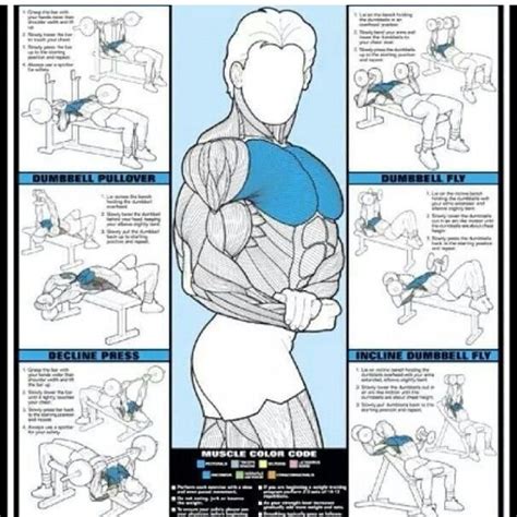 chest wotkout fitness workouts fitness tips  home workouts fitness