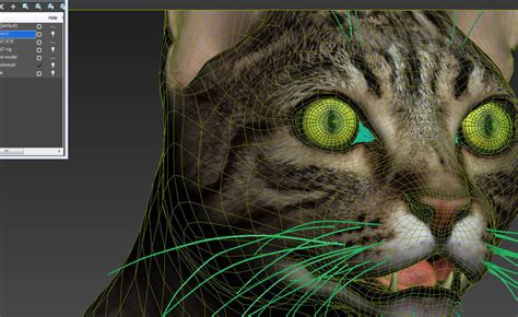 cat 3d model animated rigged cgtrader