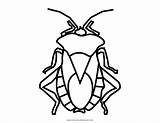 Coloring Pages Beetle Ultra sketch template