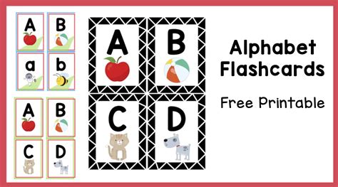 printable  alphabet flash cards  feel   print
