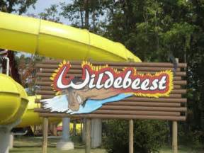 Wildebeest Holiday World Review Incrediblecoasteres