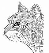 Kleurplaten Kleurplaat Volwassenen Katten Mindfulness Printen Uitprinten Downloaden sketch template