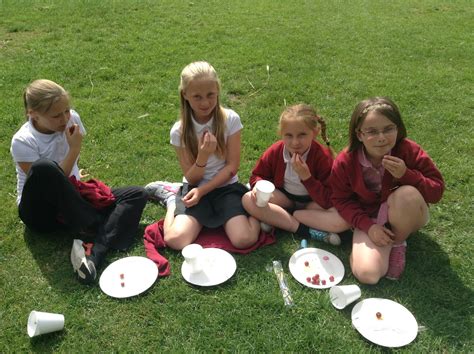 cholsey primary school special  dolphins picnic