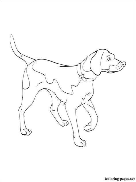 labrador dog coloring pages  getcoloringscom  printable