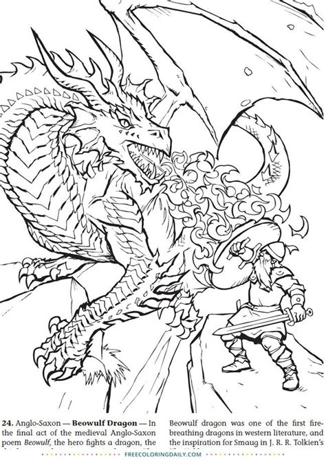 knight  dragon coloring page youngandtaecom dragon coloring