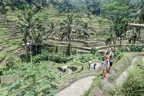 Tegalalang Rice Terrace In Ubud A Complete Guide Bali Itinerary