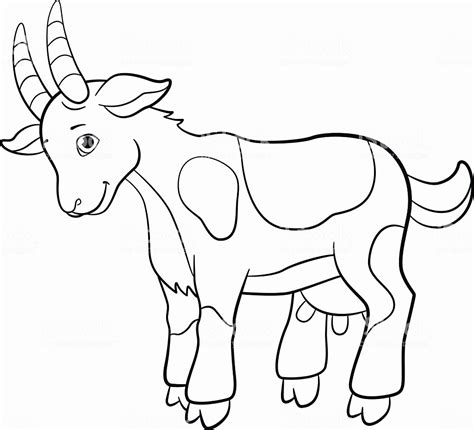 baby goat coloring pages  getcoloringscom  printable colorings