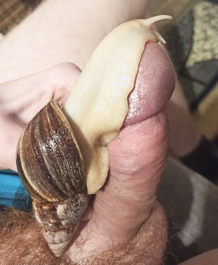 giant slimy snails dominating my cock image 3598597 thisvid tube