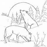 Wolf Coloring Pages Adults Printable Animal Wolves Print Detailed Color Wild Colouring Adult Moon Sheets раскраски Gif Birthday Sheet Books sketch template
