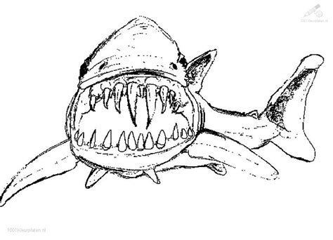 shark coloring pages  print    shark