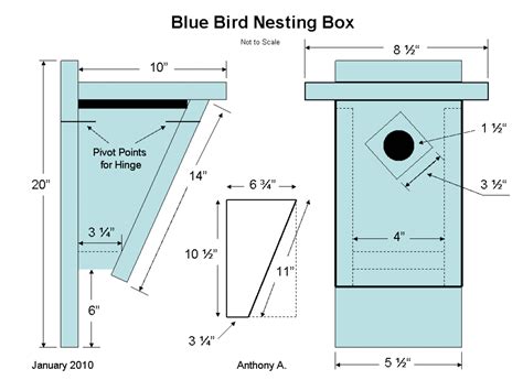 bluebird nest box plans   build  peterson bluebird house slant front style hubpages