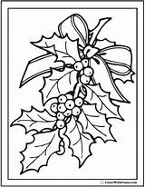 Holly Coloring Christmas Pages Drawing Berries Leaf Printable Sheets Berry Color Print Colorwithfuzzy Book Sheet Ornaments Holiday Getdrawings Colors Flower sketch template
