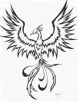 Phoenix Drawing Drawings Bird Tattoo Coloring Rising Line Tattoos Ashes Tribal Simple Realistic Dessin Outline Deviantart Easy Draw Tatouage Pages sketch template