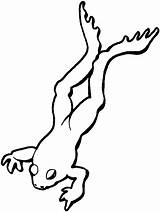 Frog Coloring Pages Hopping Leaping Drawing Supercoloring sketch template