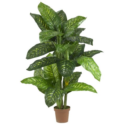 natural dieffenbachia silk floor plant  pot reviews wayfair