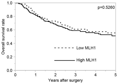 Mlh1 Expression Predicts The Response To Preoperative Therapy And Is