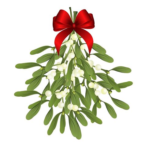 good   bad  mistletoe