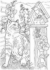 Coloring Pages Cats Adult Dogs Cat Dog Printable Doverpublications Dover Book Animal Adults Publications Enlarge Click Lovable Colouring Books Detailed sketch template