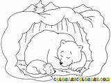 Bear Coloring Cave Hibernating Pages Clipart Bears Animals Colouring Polar Hibernation Printable Kids Print Hibernate Sleeping Color Sheet Winter Drawing sketch template