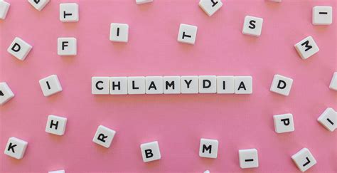 Itm Maps The Presence Of Chlamydia Among Belgians