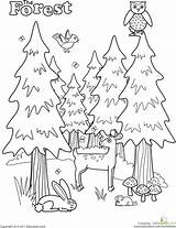 Coloring Pages Worksheets Animal Forest Preschool Camping Nature Kindergarten Printable Colouring Kids Preschoolers Worksheet Tree Sheets Printables Track Animals Books sketch template