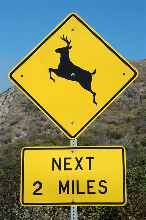 road hazard signs  deer crossing  falling rocks