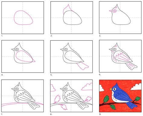 draw  bird art projects  kids