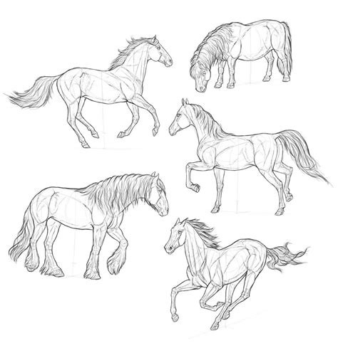 horse drawing reference  sketches  artists