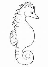 Caballito Seahorse Zeepaardje Seepferdchen Cavalluccio Colorare Disegno Hippocampe Caballitos Pintar Coloriage Ausmalbilder Ausmalbild Seepferd Sheets Malvorlagen sketch template