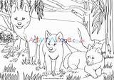 Colouring Dingos Scene Pages Village Activity Explore sketch template