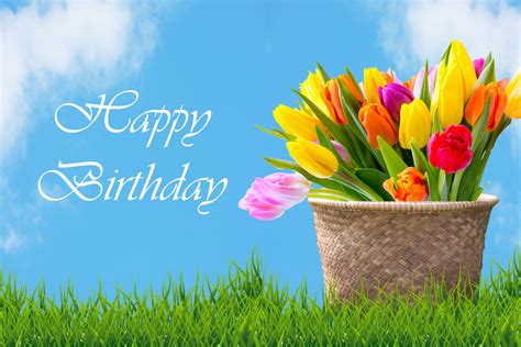 tulips  basket birthday card  stock photo public domain pictures