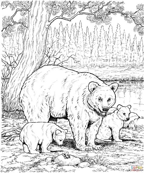 american black bear family coloring page bear coloring pages animal
