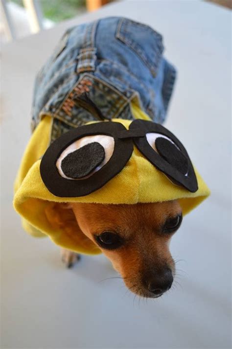 minion dog outfit diy minion dog costume minion halloween costumes