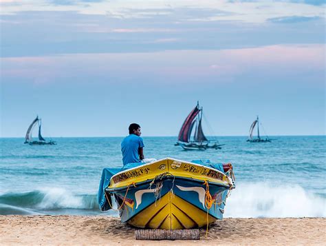 ultimate     negombo  blue lanka tours