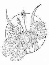 Tattoo Flower Coloring Lotus Template sketch template