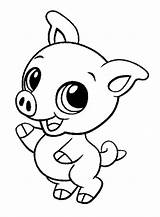 Pig Babi Mewarnai Lucu Murid Diwarnai Printcolorcraft Bellied Kemudian Paud Momjunction Terbuka Gambarnya Bunda Ya Emojis Source sketch template