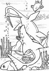 Coloring Underwater Dinosaurs sketch template
