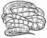 Anaconda Snake Coloring Pages Draw Animals Drawings Drawing Rainforest Print Eyes Tropical Snakes Color Green Kids Printable Rattlesnake Diamondback Getcolorings sketch template